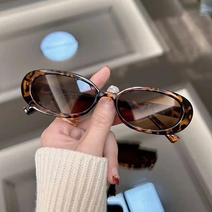 CINILY eyewear lens detail