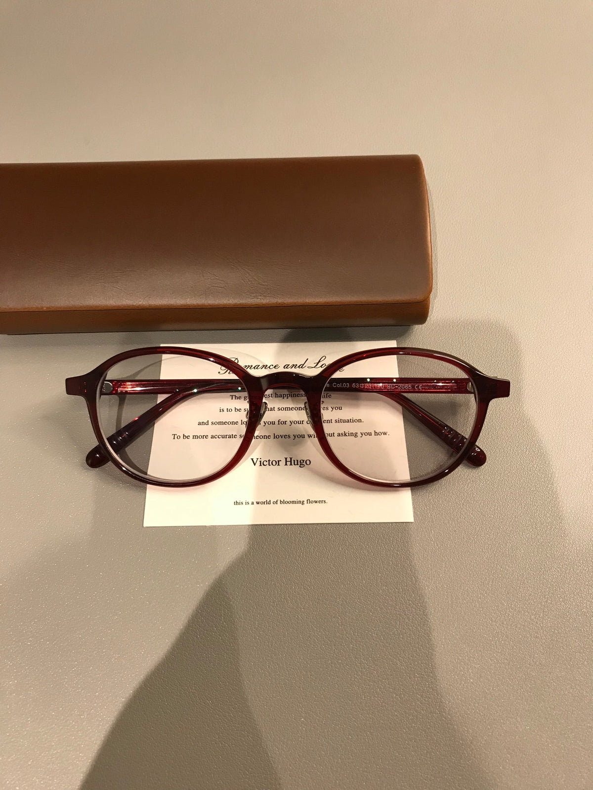 Oval Eyeglass Frames with a Thick Upper Rim, Black, Burgundy or Tortoiseshell